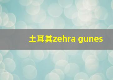 土耳其zehra gunes